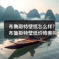 布鲁斯特壁纸怎么样?布鲁斯特壁纸价格贵吗?(图4) 布鲁斯特壁纸怎么样?布鲁斯特壁纸价格贵吗?(图4)
