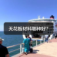 天花板材料哪种好?(图2) 天花板材料哪种好?(图2)