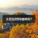 天花板材料哪种好?(图1) 天花板材料哪种好?(图1)