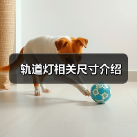 轨道灯相关尺寸介绍(图4) 轨道灯相关尺寸介绍(图4)