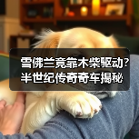 雪佛兰竟靠木柴驱动?半世纪传奇奇车揭秘(图4) 雪佛兰竟靠木柴驱动?半世纪传奇奇车揭秘(图4)
