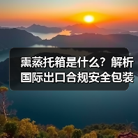 熏蒸托箱是什么?解析国际出口合规安全包装(图2) 熏蒸托箱是什么?解析国际出口合规安全包装(图2)