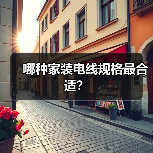 哪种家装电线规格最合适?(图1) 哪种家装电线规格最合适?(图1)