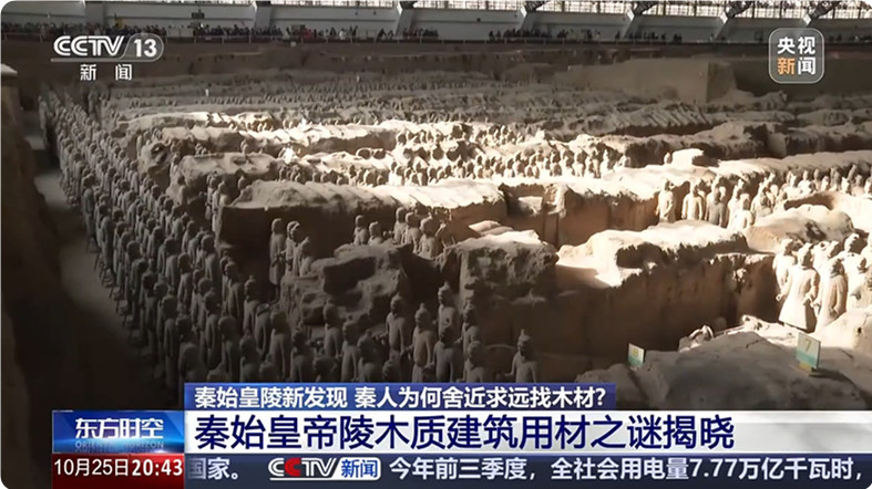 秦始皇陵都用了什么木材？(图1)