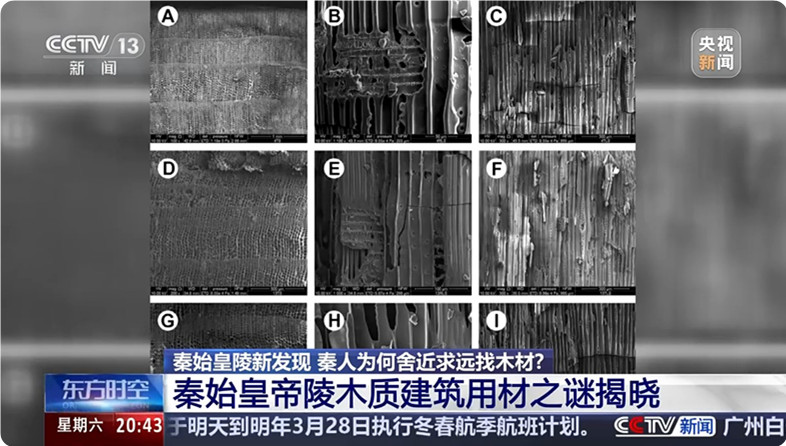 秦始皇陵都用了什么木材？(图2)