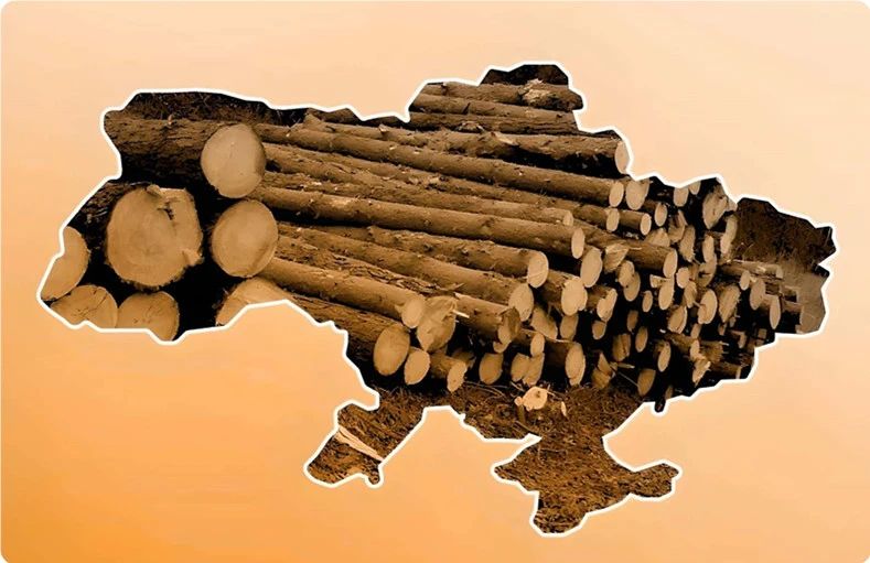 波兰无端封锁乌克兰木材产品(图1)