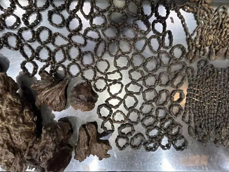 深圳海关截获16.4公斤濒危沉香木(图1)