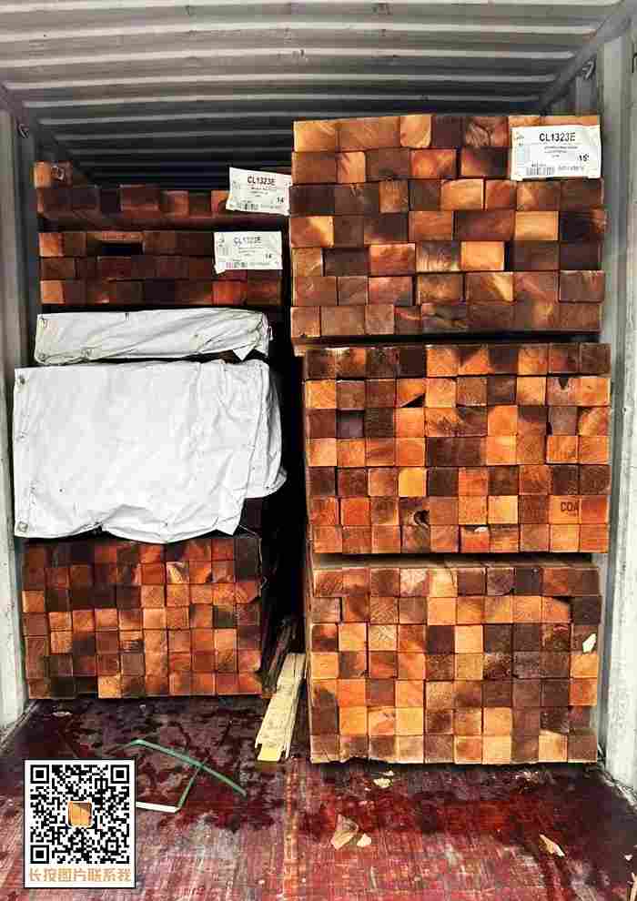 始于2004，专业供应：西班牙雪松、云杉、铁杉、辐射松……(图3)