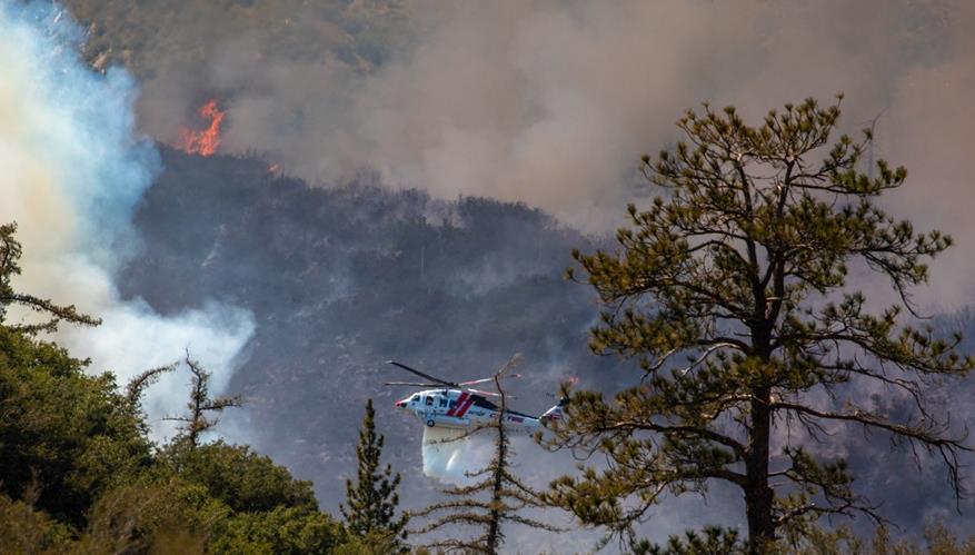 美国加州发生森林火灾(图1)