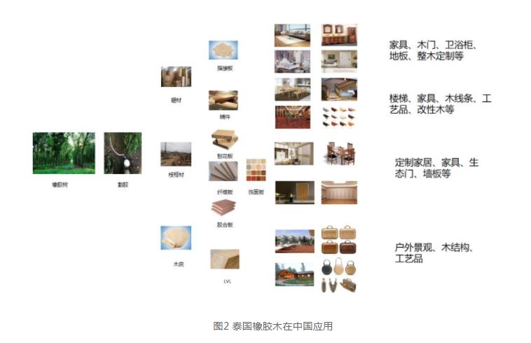 2022年中国进口泰国橡胶木384万立方米(图3)