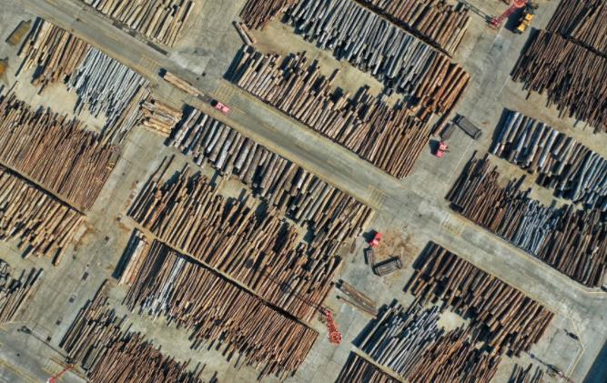 张家港市：进口原木突破340万立方米(图1)