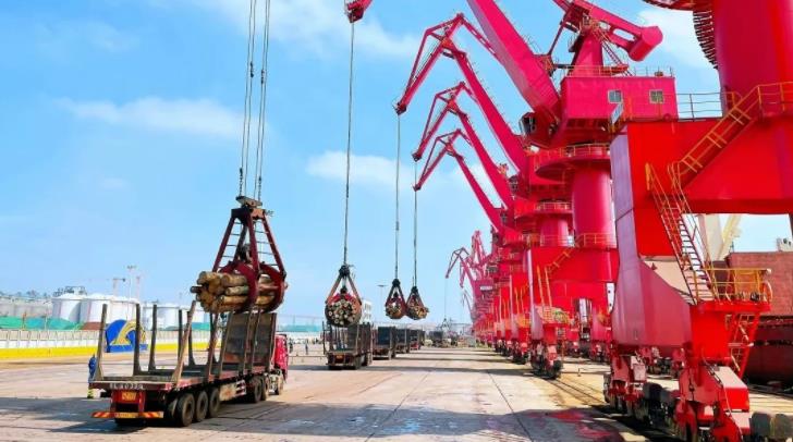 山东港口日照港启用原木卸船新流程(图1)