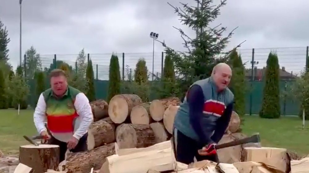 寒冬将至，欧洲民众囤木头御寒，卢卡申科成了“伐木工人”？(图1)