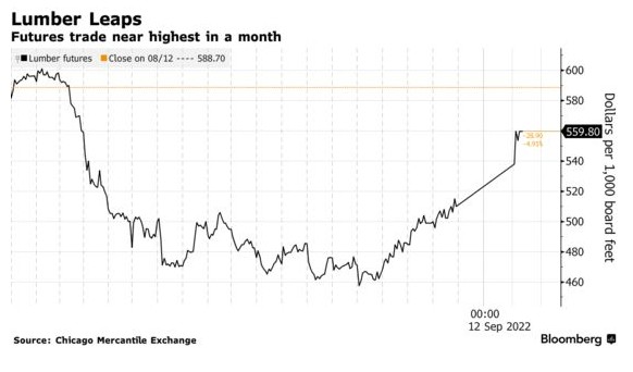 美国面临铁路罢工威胁 煤炭、木材等大宗商品运输拉响警报(图2)