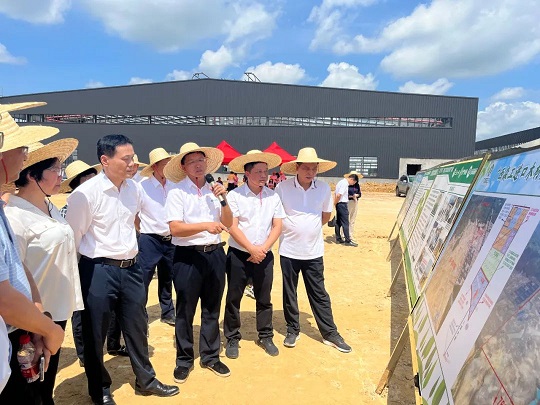 广西政协调研中国广西进口木材暨高端绿色家具家居产业园(图1)