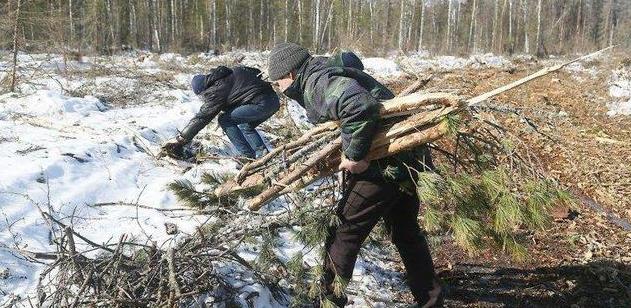 波兰:鼓励居民去森林中有偿捡拾木材，以应对能源价格的上涨(图1)