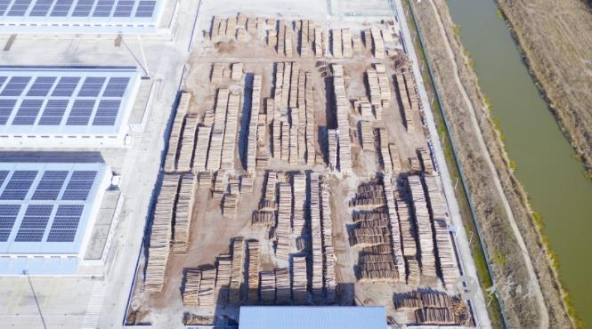 大丰港多措并举推动进口木材量稳步提升(图1)