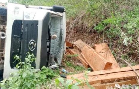 缅甸一个国家公园，大量高价值木材被盗伐(图1)