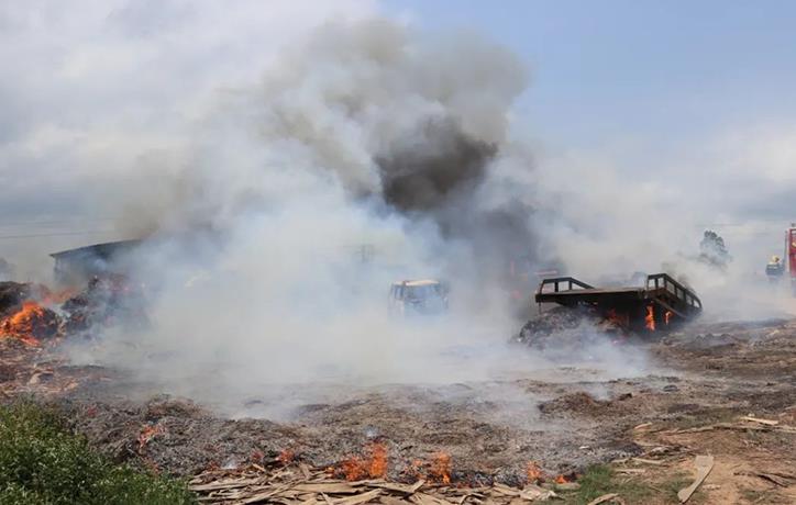 广西防城港一木材厂突然着火(图1)
