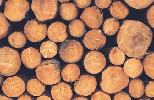 中国木材面临断供究竟为何(图1)