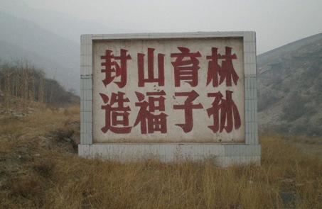 国家林草局:我国木材市场供给缺口不大(图1) 国家林草局:我国木材市场供给缺口不大(图1)