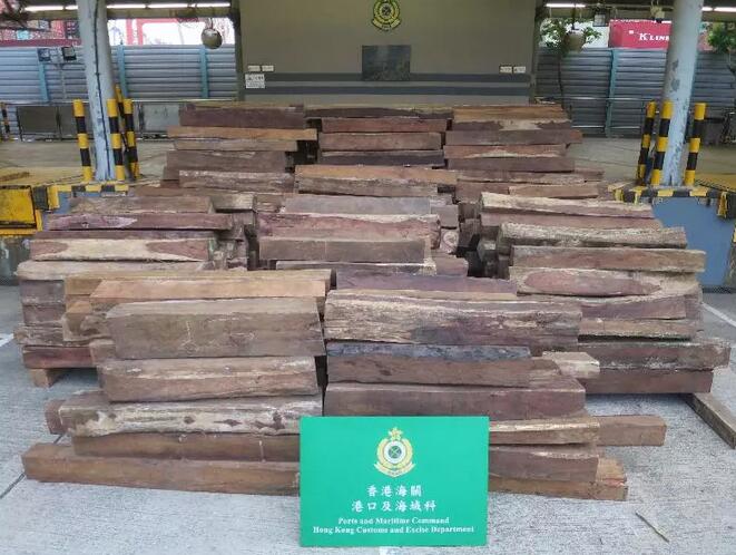 香港海关2018年11月2日检获大量怀疑瓜蒂马拉黄檀木材(图1)