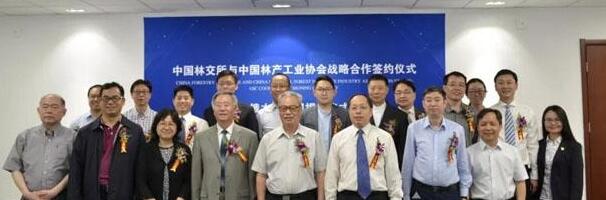 中俄木业联盟揭牌仪式在北京隆重举行(图2)