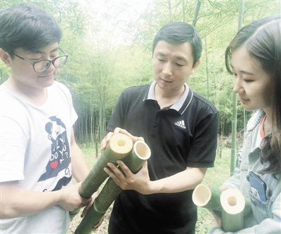 江西厚竹入选国家林木良种名录 替代木材前景广阔(图1)