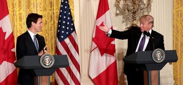 软木贸易战风险加剧加拿大警告起诉美国(图1)