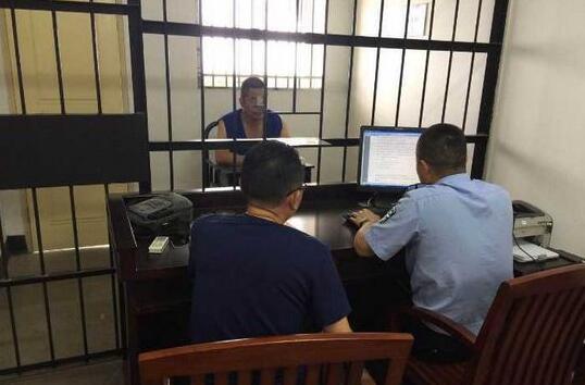 震惊：建德近十年最大的盗伐林木案，嫌疑人竟是村主任(图2)