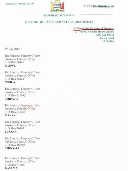 赞比亚政府明令禁止运输出口血檀(图1)