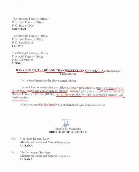 赞比亚政府明令禁止运输出口血檀(图2)