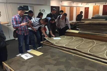 首期维木—东莞木皮行业赴欧洲考察团圆满结束(图3)