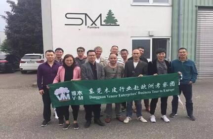 首期维木—东莞木皮行业赴欧洲考察团圆满结束(图4)