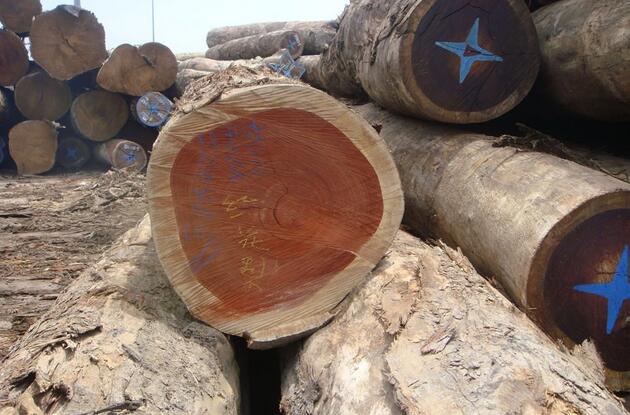2017年欧洲热带木材贸易可望维持稳定