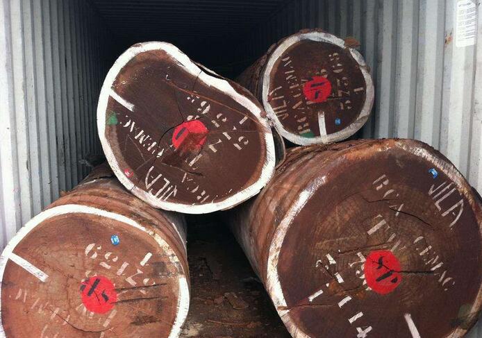 顶级质量沙比利原木价格上涨