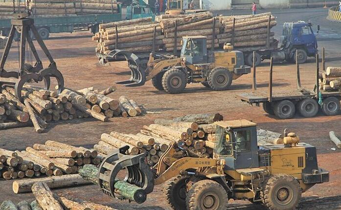龙口口岸一季度进口原木货值增长118.5%