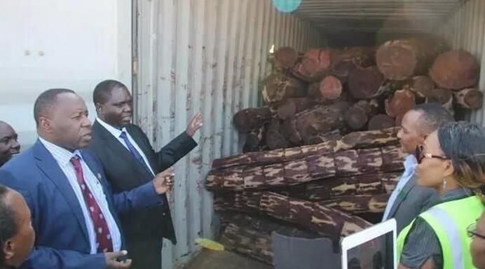 赞比亚政府准备出售缴获的血檀木