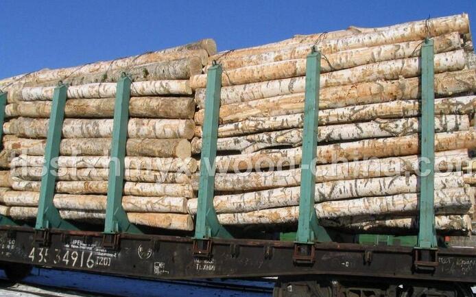 俄罗斯木材3月中旬开始大量进入中国市场(图1)
