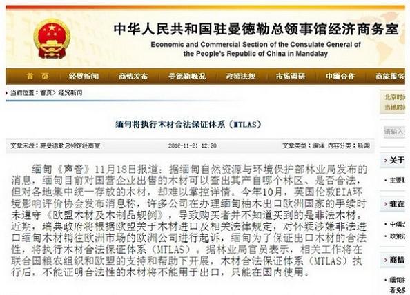 阔叶黄檀需求强烈 刺猬紫檀价格下滑(图1)