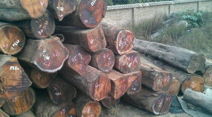 缅甸、老挝、柬埔寨，越南继续封关，大红酸枝原材消耗殆尽