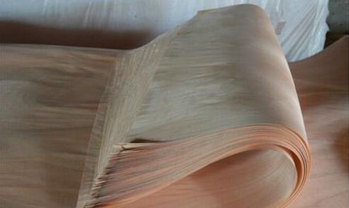 加蓬木皮生产商面对奥古曼原木短缺难题