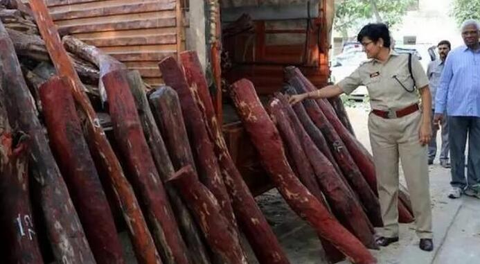 印度泰米尔纳德邦缴获大量走私紫檀原木