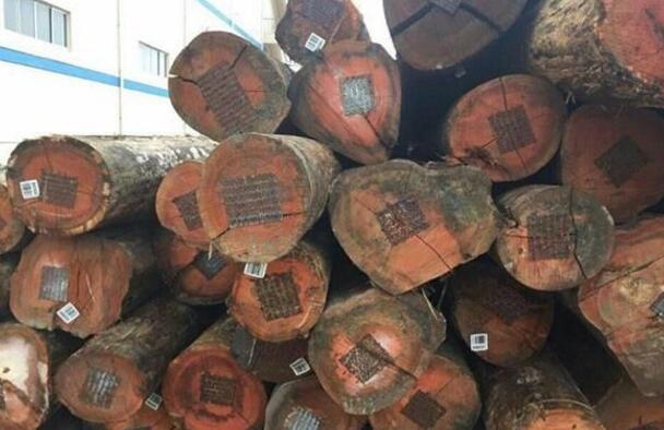 玫瑰木被列入CITES，2017年开始全球禁运