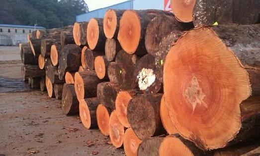 奥地利和德国的锯材原木价格跌至10年来的低点