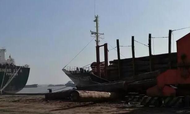 年终行情盘点：一整年下来 木材进口商整体仍有利润(图1)