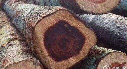 非洲材价格普遍涨价200-400元/立方米