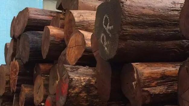 柚木市场深度分析报告：销量多年平稳 无惧木材市场危机