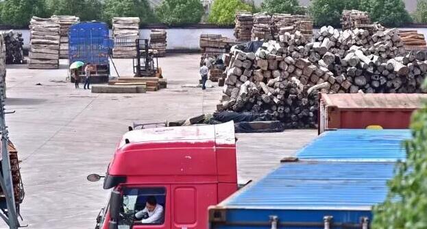 缅甸花梨10天涨价25%！东阳红木市场再现“疯狂的木头”！