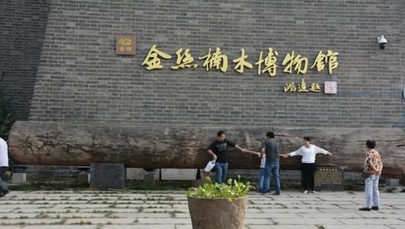 18吨金丝楠原木现身山东聊城